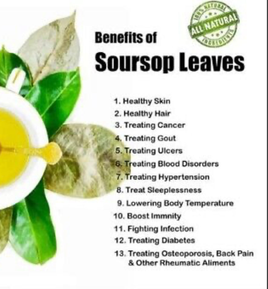 Soursop Leaf