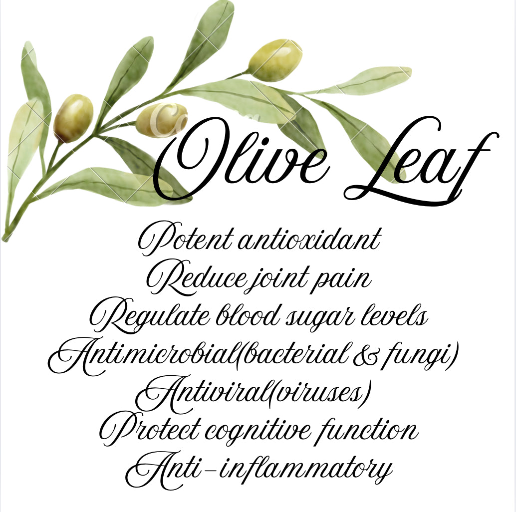 Olive Leaf