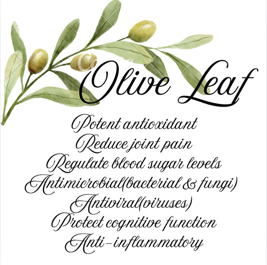 Olive Leaf