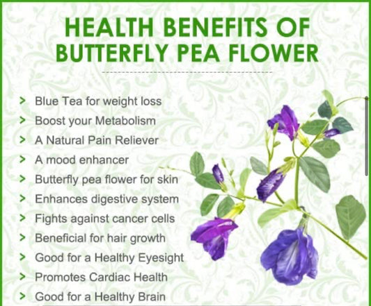 Butterfly Pea
