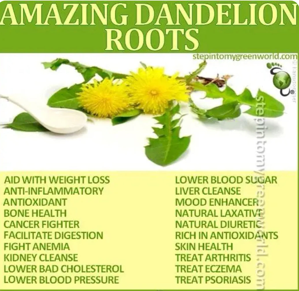 Dandelion Root