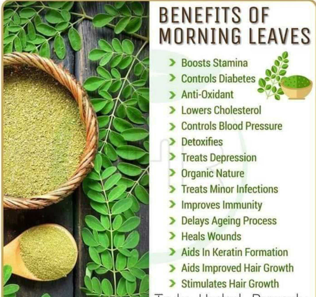 Moringa Leaf