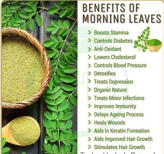 Moringa Leaf