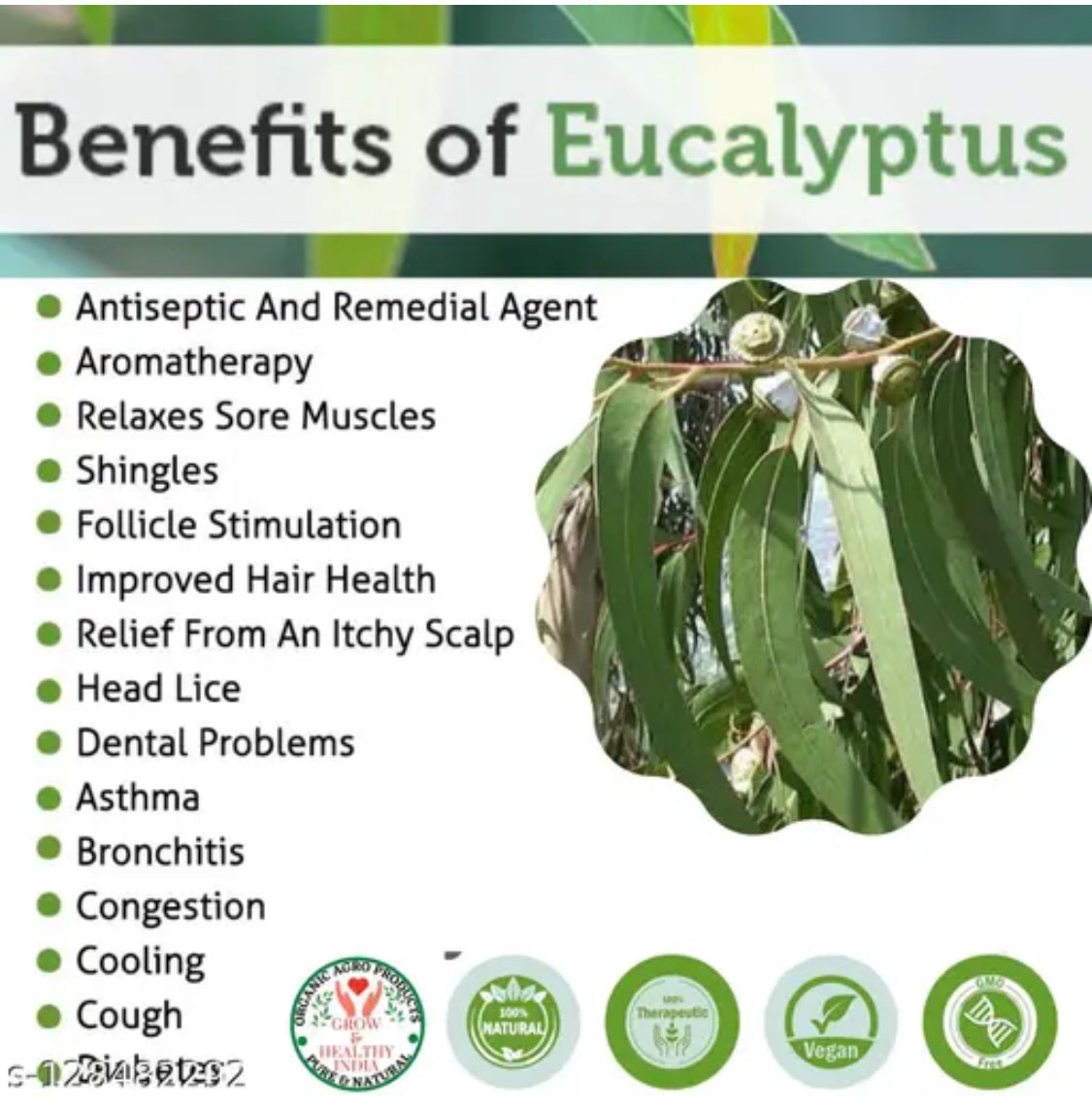 Eucalyptus Leaf